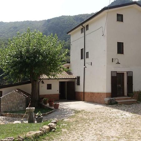 Azienda Agrituristica Terraria Ξενοδοχείο Campagna Εξωτερικό φωτογραφία